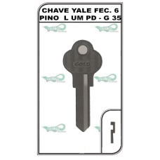 CHAVE YALE FEC. 6 PINO  L UM PD - G 35 PACOTE COM 10 UNIDADES  