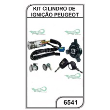 Kit Cilindro De Ignição Peugeot