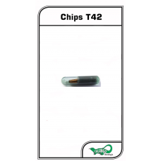 Chip T42 Paralelo VW